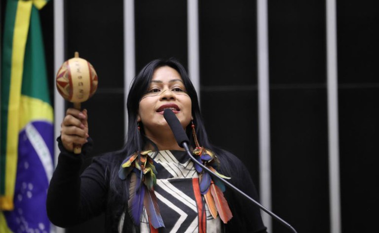 Sessão Solene 20 Anos do ATL - Foto Zeca Ribeiro - Câmara dos Deputados (5).jpg