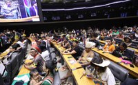 Presidenta da Funai defende responsabilidade compartilhada com o Parlamento e Judiciário sobre direitos indígenas