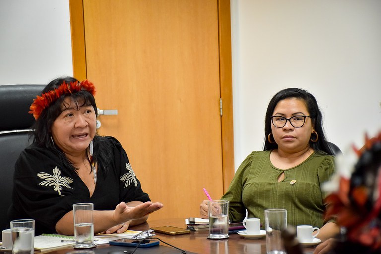 Reunião com o Povo Indigena Panará do MT - Foto José Rui Gavião  (5).jpg