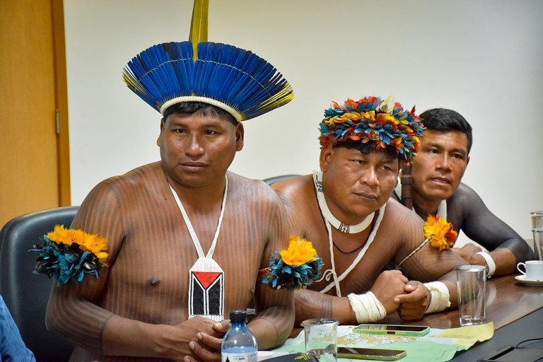 Reunião com o Povo Indigena Panará do MT - Foto José Rui Gavião  (7).jpg