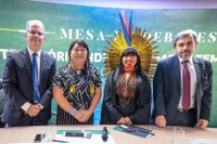 Presidenta da Funai ressalta luta histórica dos povos indígenas por direitos durante debate sobre o Marco Temporal