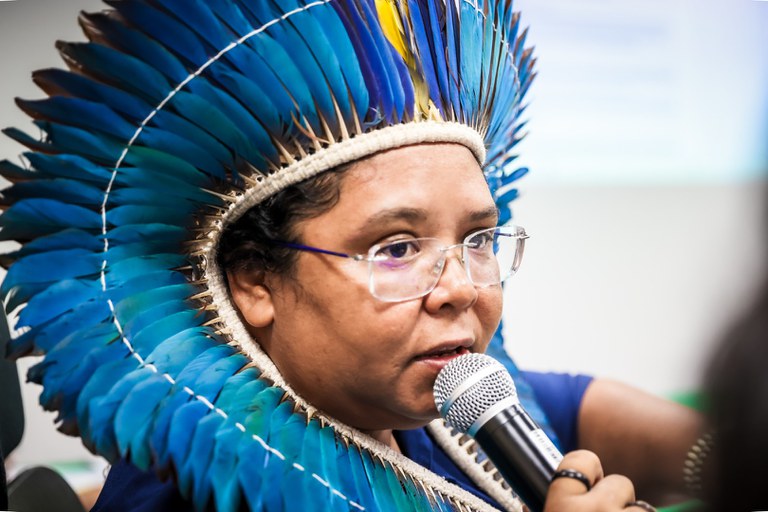 Comitê Gestor da PNGATI_01 (5).JPG