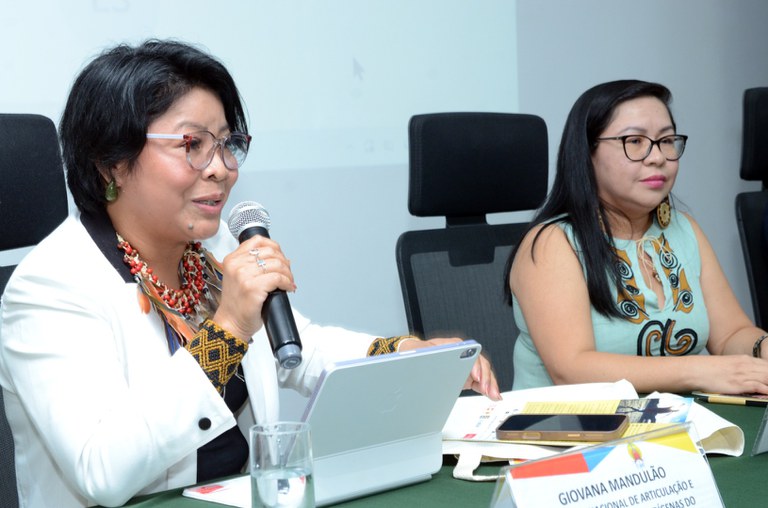 12.12.2025 - Lançamento Brasil Indígena IBGE @ Mário Vilela_FUNAI (24).JPG