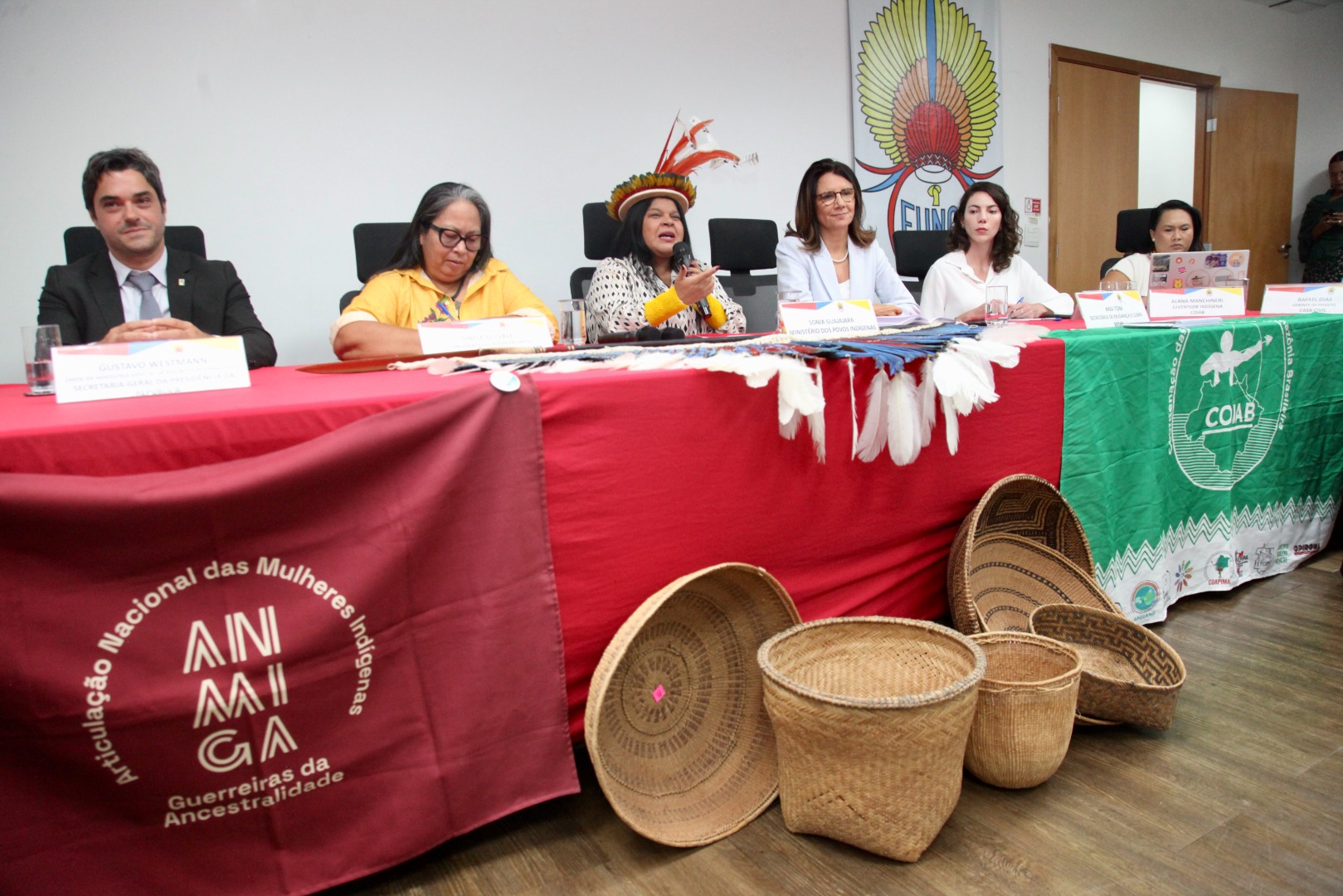 26.02.25 - 21ª Reunião Ordinária do Comitê Gestor da PNGATI - Foto André Corrêa (30).jpg