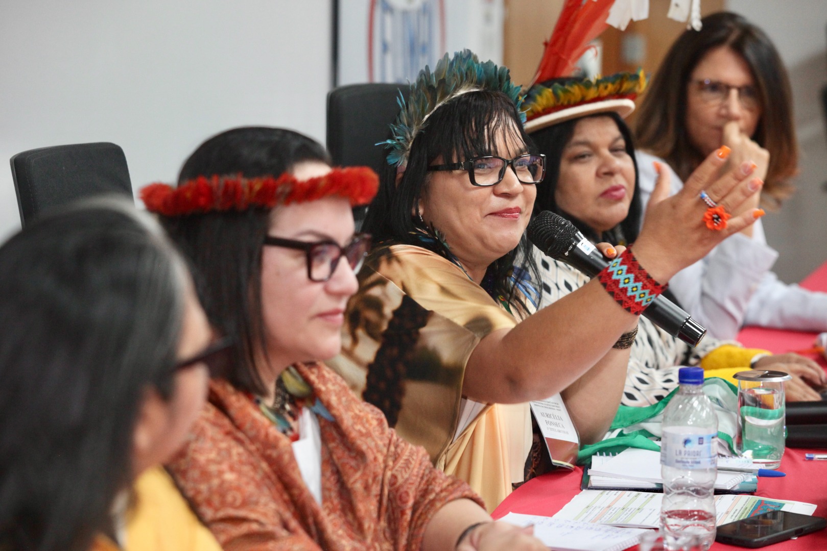 26.02.25 - 21ª Reunião Ordinária do Comitê Gestor da PNGATI - Foto André Corrêa (44).jpg