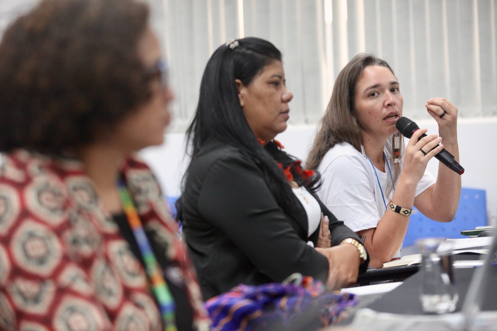 26.02.25 - 21ª Reunião Ordinária do Comitê Gestor da PNGATI - Foto André Corrêa (76).jpg