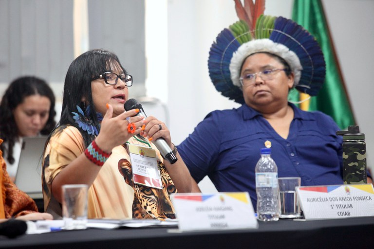 26.02.25 - 21ª Reunião Ordinária do Comitê Gestor da PNGATI - Foto André Corrêa (77).jpg