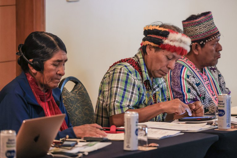 3 - Conferência Anual do Projeto Iniciativa de Terras Indígenas @ Mário Vilela_ FUNAI (18).jpg