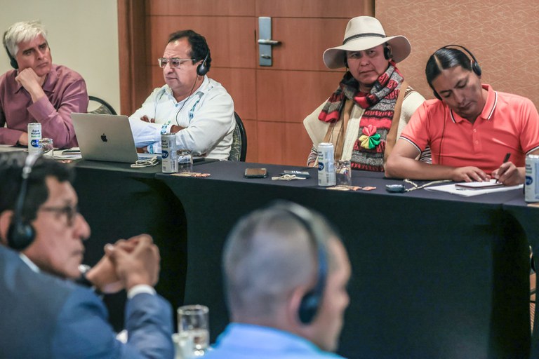 4 - Conferência Anual do Projeto Iniciativa de Terras Indígenas @ Mário Vilela_ FUNAI (15).jpg