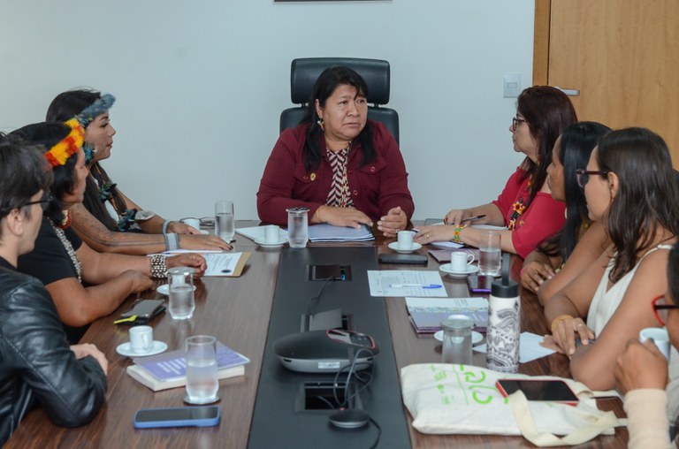 Movimento de Mulheres Indígenas do Rio Negro @ Mário Vilela_FUNAI.jpg