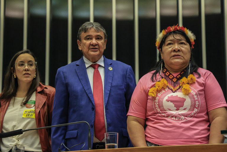 2 ATL no Congresso @ Mayra Wapichana_FUNAI-59.jpg