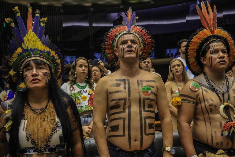 4 - ATL no Congresso @ Mayra Wapichana_FUNAI-58.jpg