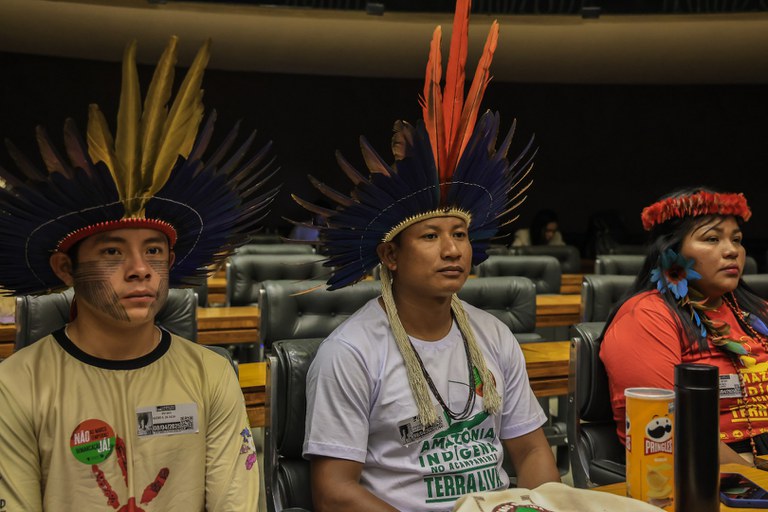 6 - ATL no Congresso @ Mayra Wapichana_FUNAI-65.jpg