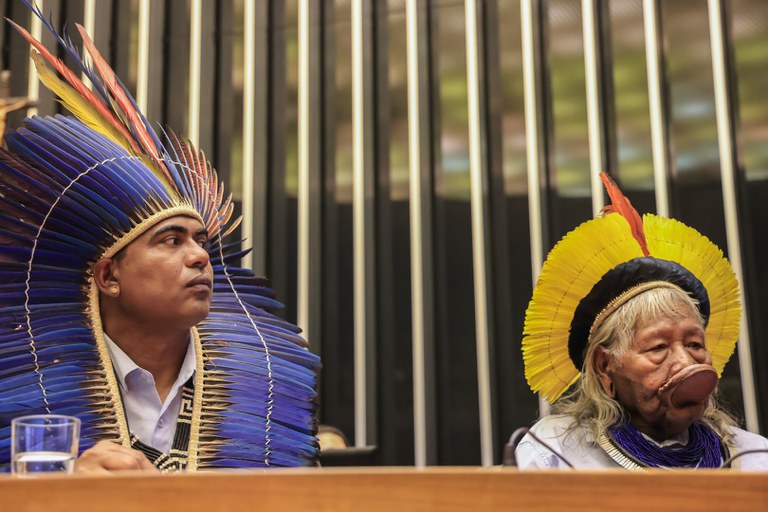 7 - ATL no Congresso @ Mayra Wapichana_FUNAI-66.jpg