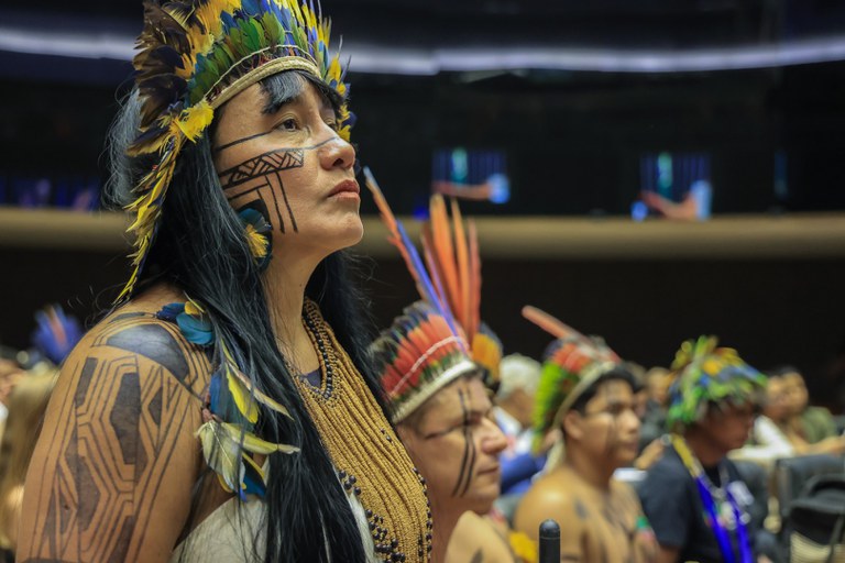 8 - ATL no Congresso @ Mayra Wapichana_FUNAI-57.jpg