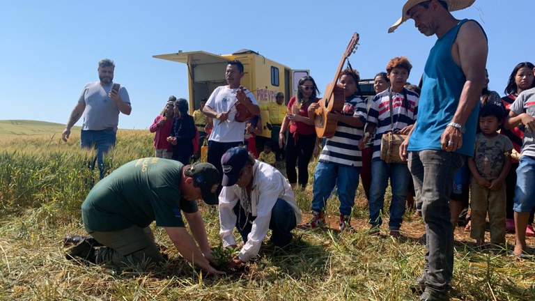 Divulgação Funai 05.jpeg