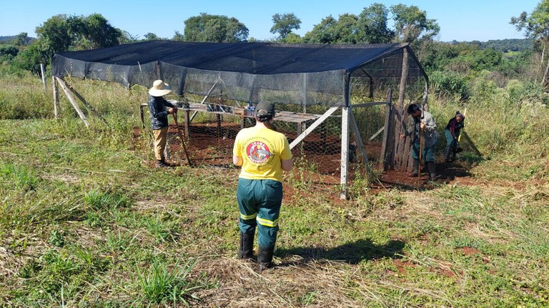 Divulgação Funai 06.jpeg