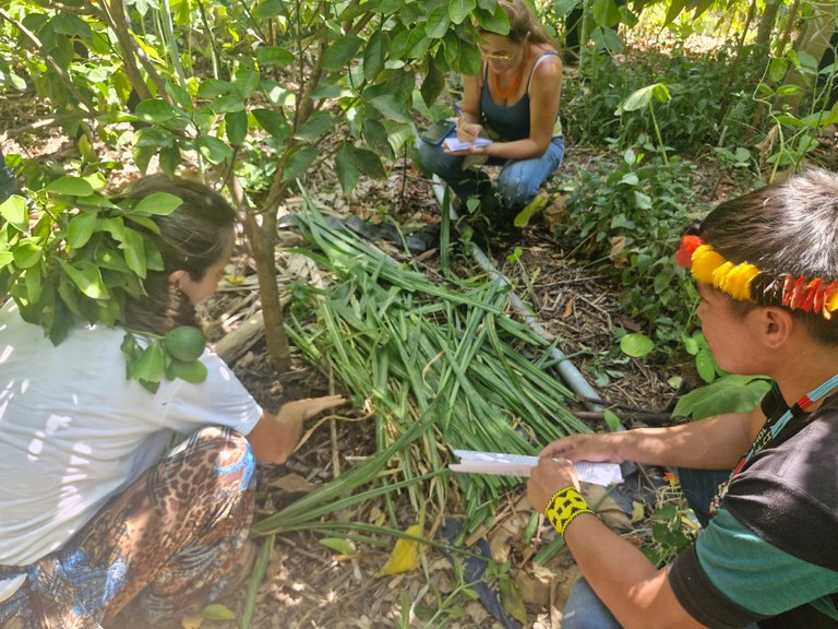 11 a 15.03.2025 - Diálogos Agroecológicos com Povos Indígenas - Foto Divulgação Funai (10).jpeg