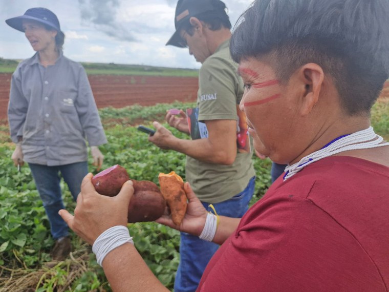 11 a 15.03.2025 - Diálogos Agroecológicos com Povos Indígenas - Foto Divulgação Funai (9).jpeg