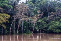 Com mais quatro homologações, sobe para 20 o número de terras indígenas homologadas pelo presidente Lula