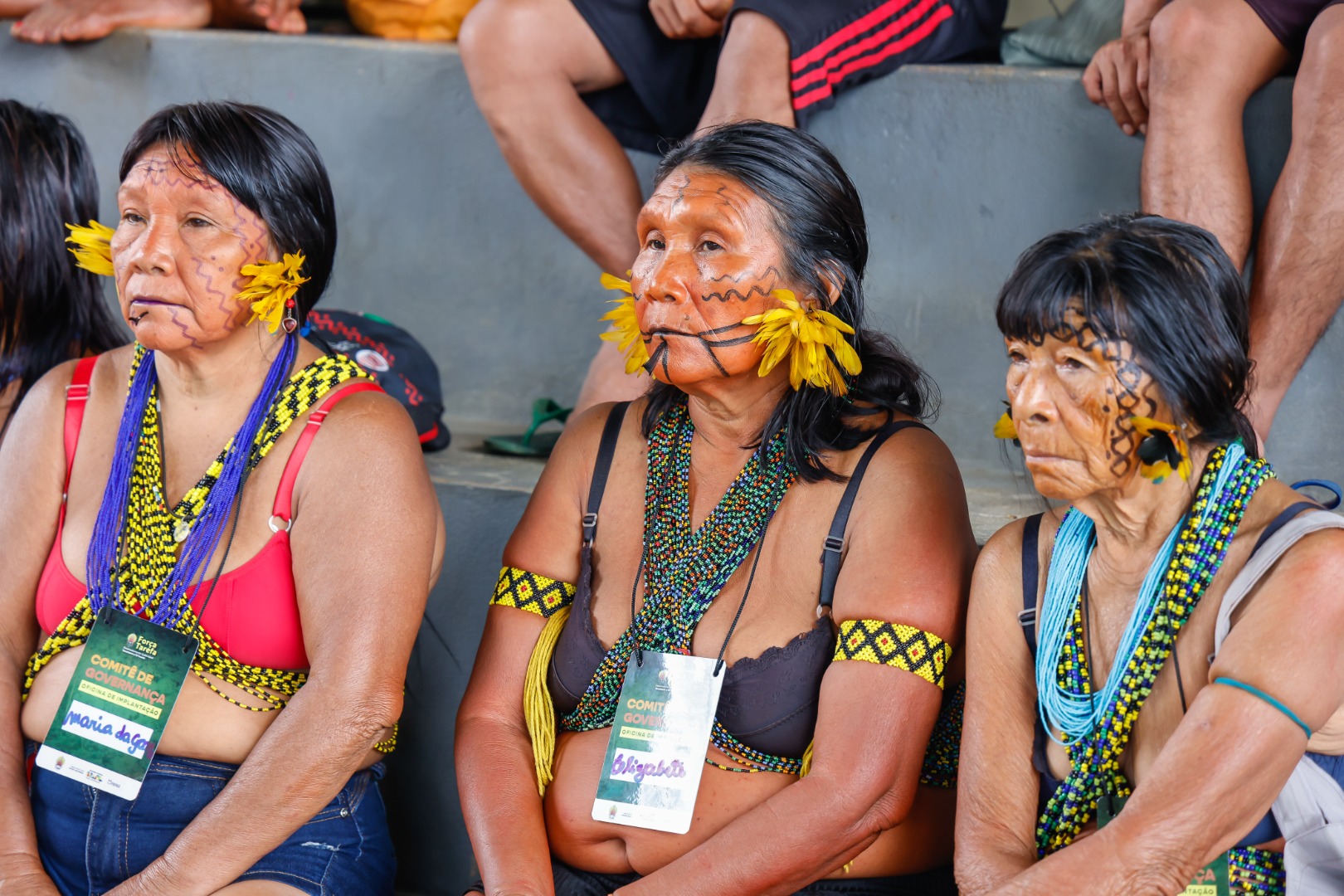 Instalação do Comitê de Governança Yanomami e Ye' kwana @ Mayara Wapichana_FUNAI (20).jpg