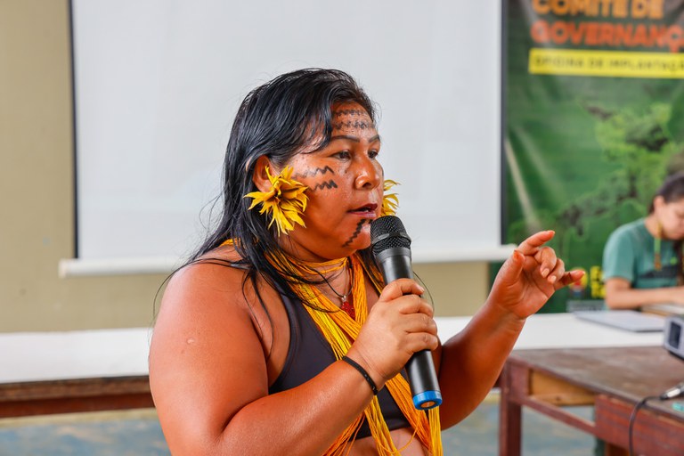 Instalação do Comitê de Governança Yanomami e Ye' kwana @ Mayara Wapichana_FUNAI (33).jpg