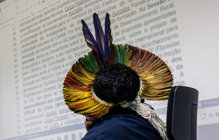 22ª Reunião Ordinária da PNGAT @ Mário Vilela_FUNAI-20.jpg