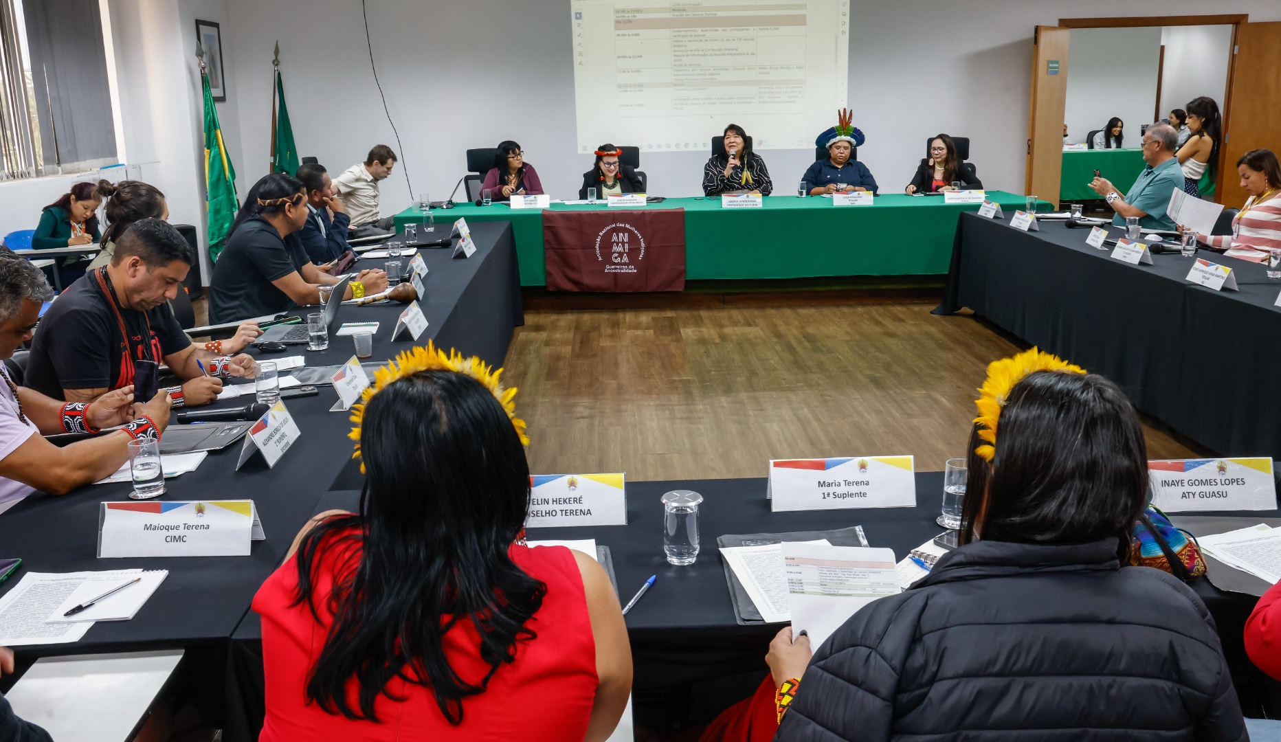 22ª Reunião Ordinária da PNGAT @ Mário Vilela_FUNAI-4.jpg