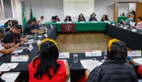 Comitê Gestor da PNGATI: Funai alerta para propostas legislativas que representam riscos aos direitos dos povos indígenas