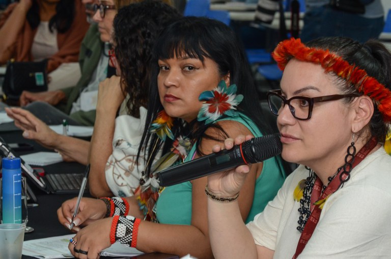 16.12.2025 - 24ª Reunião Ordinária do Comitê Gestor da PNGATI @ Mário Vilela_FUNAI-28.jpg