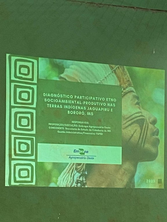 WhatsApp Image 2025-06-23 at 09.29.51.jpeg