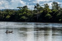 Conheça o papel da Funai nos processos de licenciamento ambiental