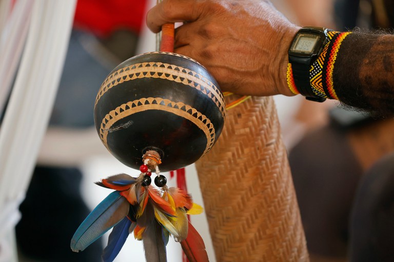 11.11.2025 - COP30 -Ciclos COParente @ Mayra Wapichana_FUNAI (8).JPG