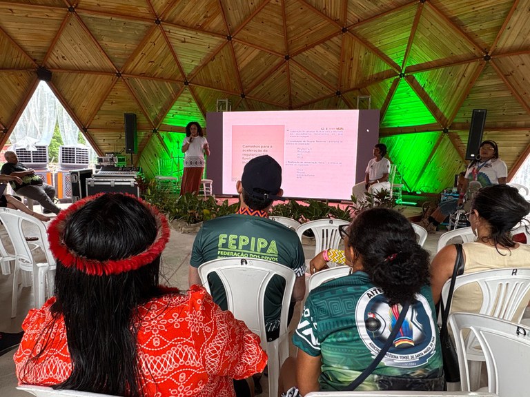 Foto Ayla Tapajós_Funai (1).jpg