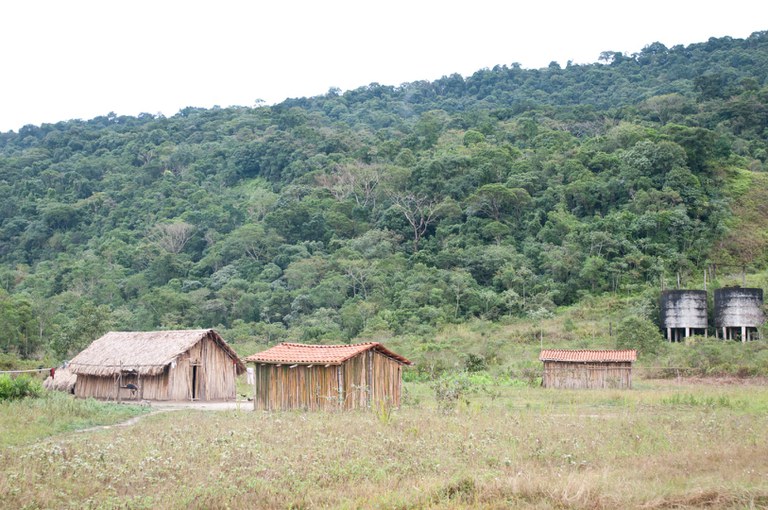 CARD 1-Tupi-Guarani-Aldeia-Pekoa-Mirim_EdisonBueno_Funai -40.jpg