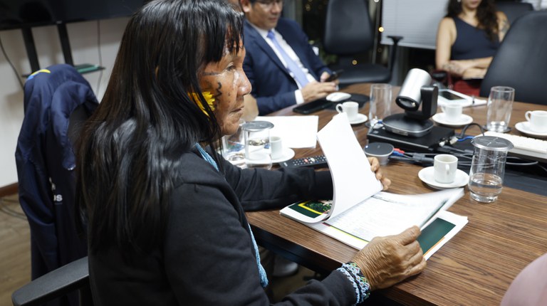 20.05.2025 - Agenda com os Yanomami e Ye'kwana em Brasília - Foto Mayra Wapichana_Funai (7).JPG