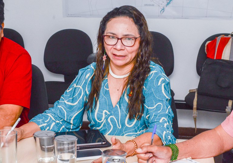 Plano de Ações DPDS, CGETNO_Agricultura Kaingang e Guarani  @ Mário Vilela_FUNAI-7 (1).jpg