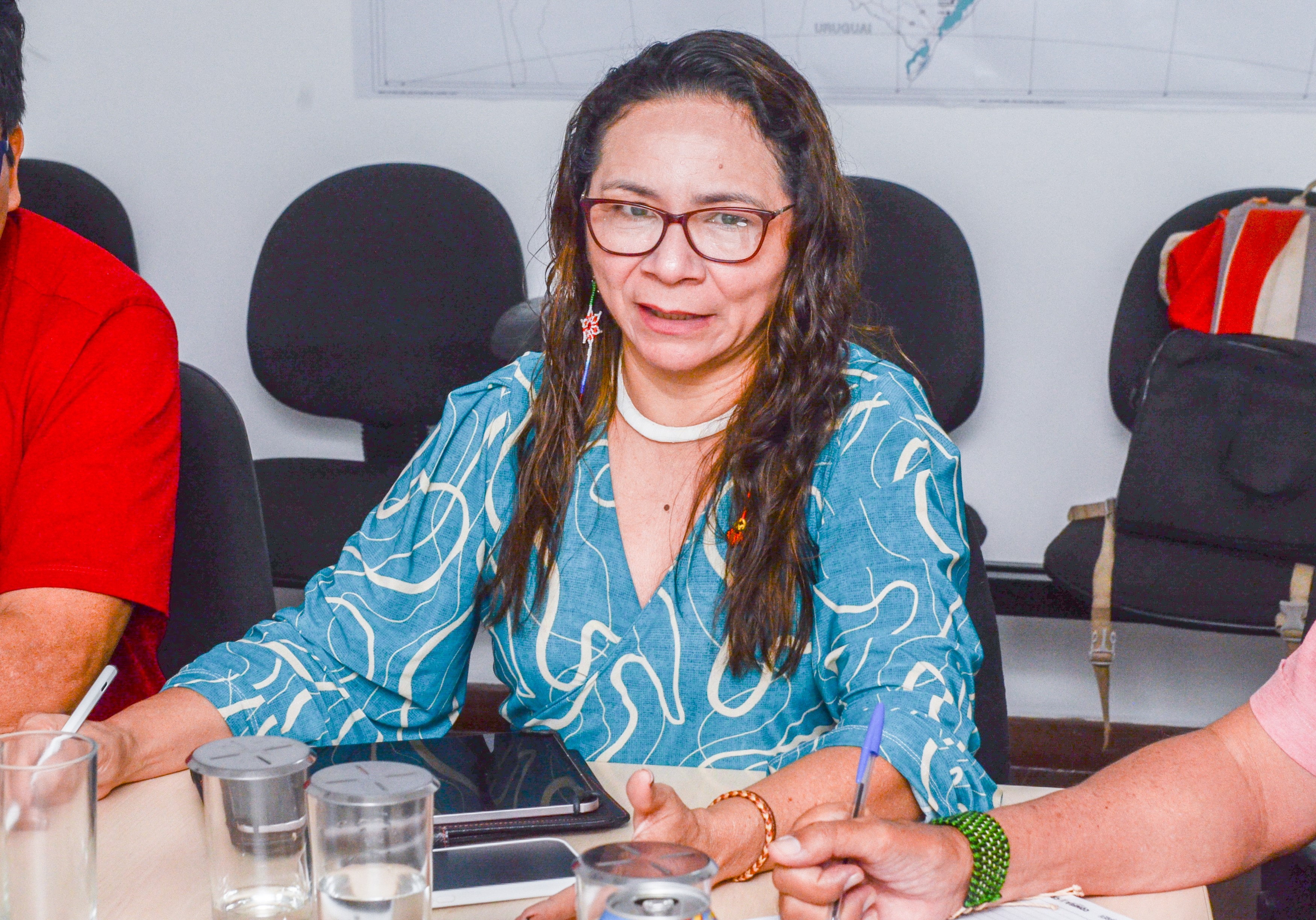 Plano de Ações DPDS, CGETNO_Agricultura Kaingang e Guarani @ Mário Vilela_FUNAI-7 (1).jpg