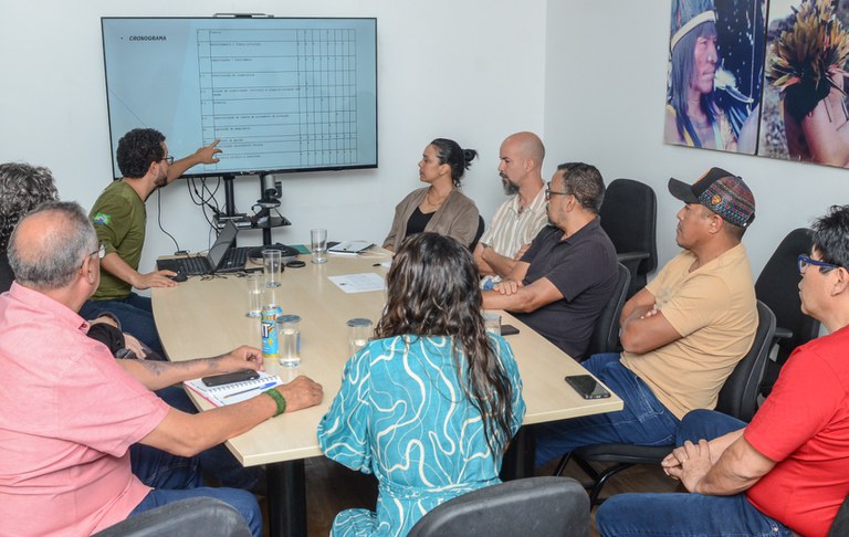 Plano de Ações DPDS, CGETNO_Agricultura Kaingang e Guarani  @ Mário Vilela_FUNAI-7 (8).jpg