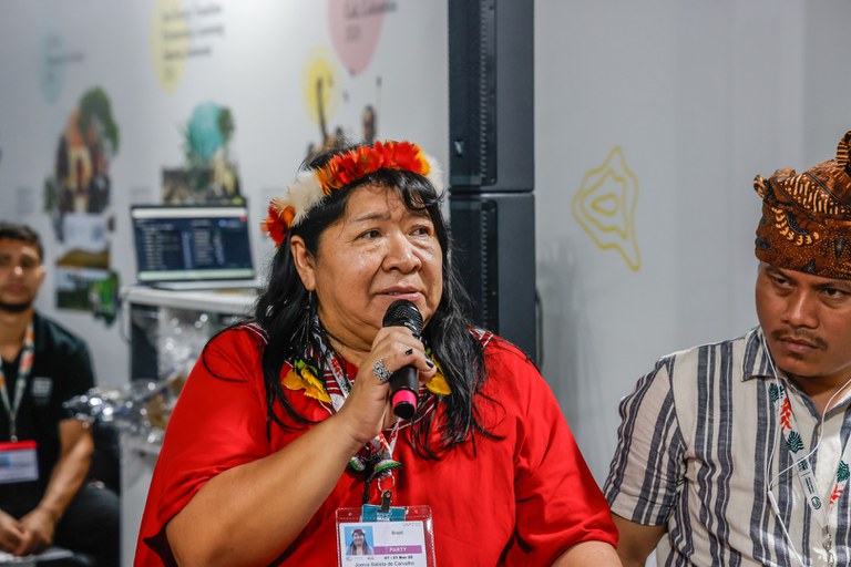 18.11.2025 - COP30 - Troca de conhecimentos sobre Demarcação de TI -Indonésia e Brasil  @ Mayra Wapichana_FUNAI   (7).jpg