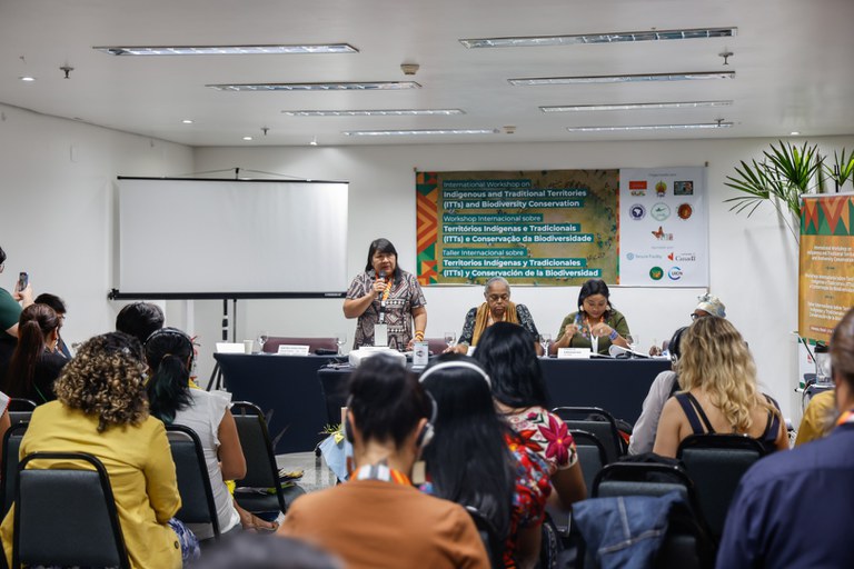 1 - Workshop Territórios Indígenas Tradicionais da Biodiversidade - Manaus @ Mayra Wapichana_FUNAI-5.jpg