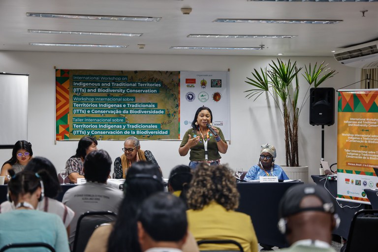 2 - Workshop Territórios Indígenas Tradicionais da Biodiversidade - Manaus @ Mayra Wapichana_FUNAI-9.jpg