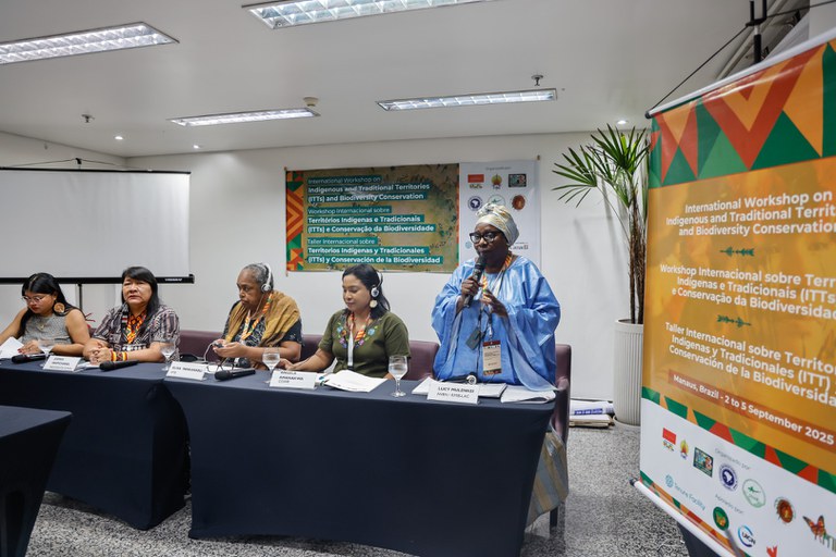 Workshop Territórios Indígenas Tradicionais da Biodiversidade - Manaus @ Mayra Wapichana_FUNAI-13.jpg