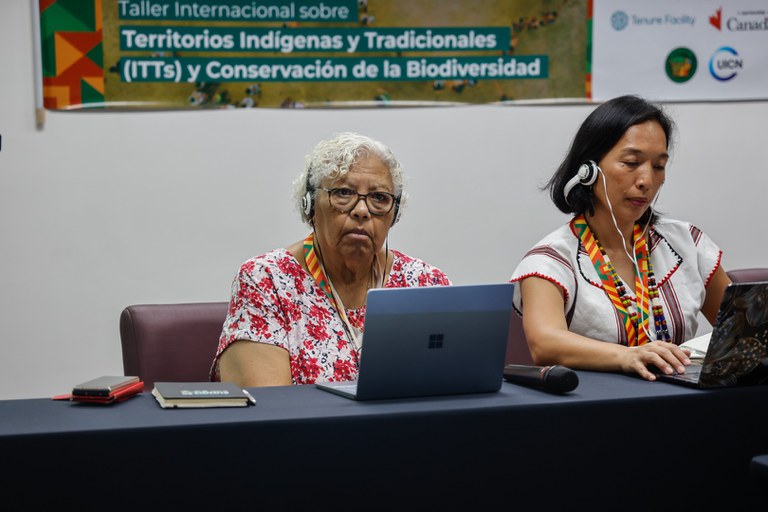Workshop Territórios Indígenas Tradicionais da Biodiversidade - Manaus @ Mayra Wapichana_FUNAI-34.jpg