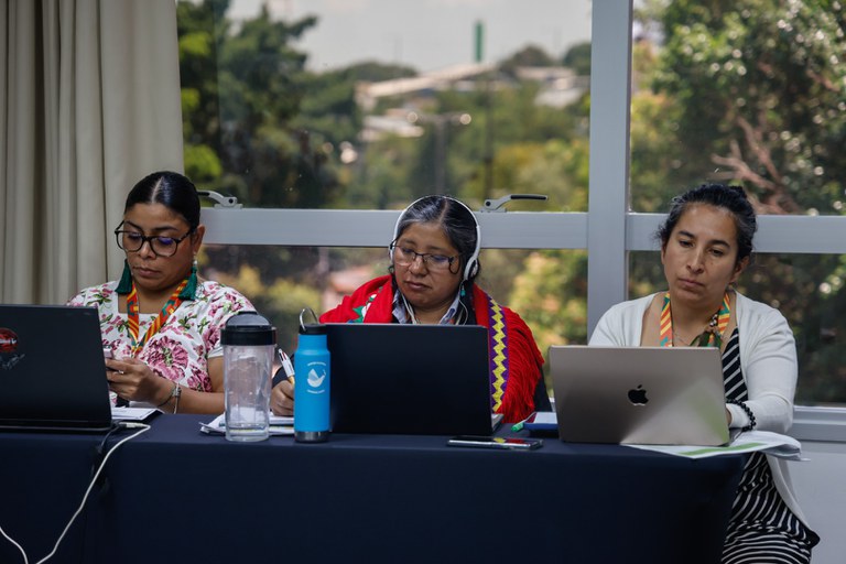 Workshop Territórios Indígenas Tradicionais da Biodiversidade - Manaus @ Mayra Wapichana_FUNAI-35.jpg