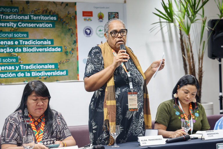 Workshop Territórios Indígenas Tradicionais da Biodiversidade - Manaus @ Mayra Wapichana_FUNAI-7.jpg