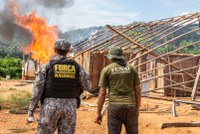 Em menos de três meses, Governo Federal causa prejuízo de R$ 95 milhões ao garimpo ilegal na Terra Indígena Kayapó, no Pará