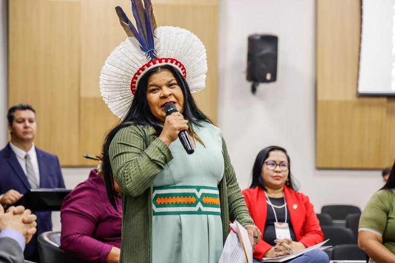 29.07.2025 - 3º Seminário de Justiça Climática @ Mayra Wapichana_FUNAI-17.jpg