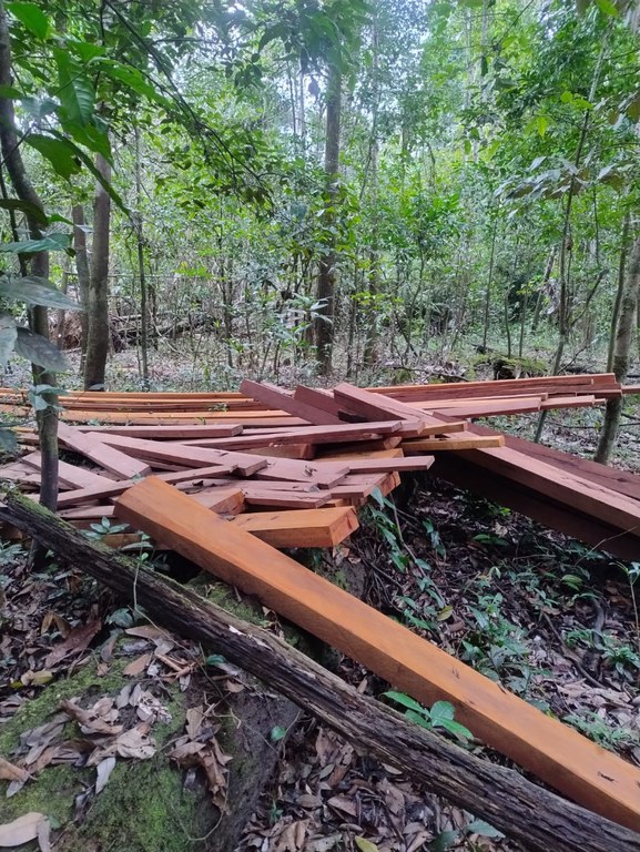 20.01.2025 - Fiscalização e proteção territorial na Terra Indígena Mawetek - Foto Divulgação Funai (5).jpeg