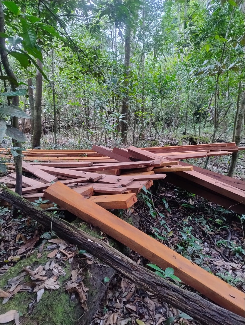 20.01.2025 - Fiscalização e proteção territorial na Terra Indígena Mawetek - Foto Divulgação Funai (5).jpeg